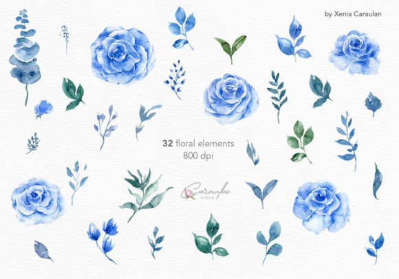 Blue Rose Flowers Watercolor Clipart PNG Illustrations
