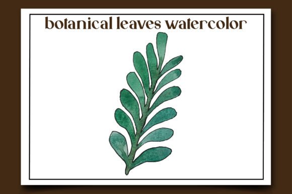 Botanical Leaves Watercolor-15 Illustrations Review