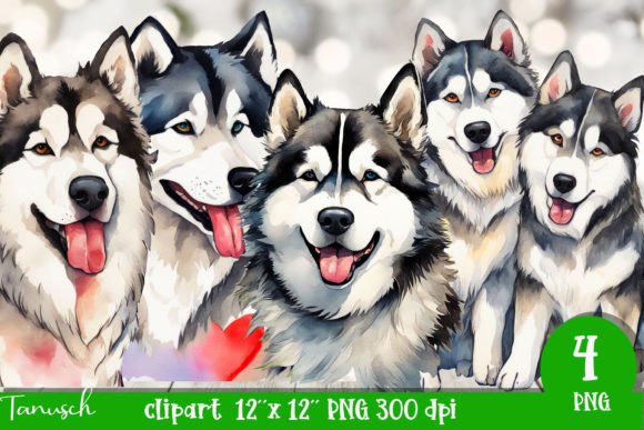 Watercolor Alaskan Malamute Clipart Illustrations