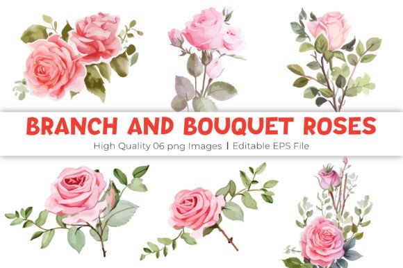 Watercolor Branch and Bouquet Roses Illustrations