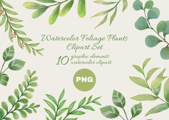 Watercolor Foliage Plants Clipart Set: Illustrations Review