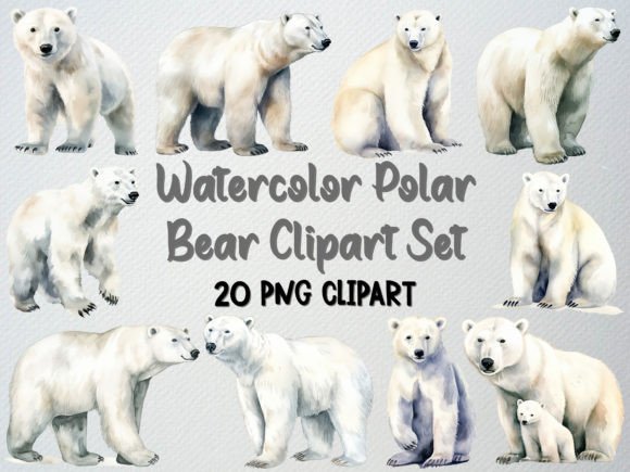 Watercolor Polar Bear Clipart Set: Editorial Illustrations